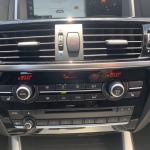 BMW X4 (F26) XDRIVE 35D 313 M SPORT BVA8