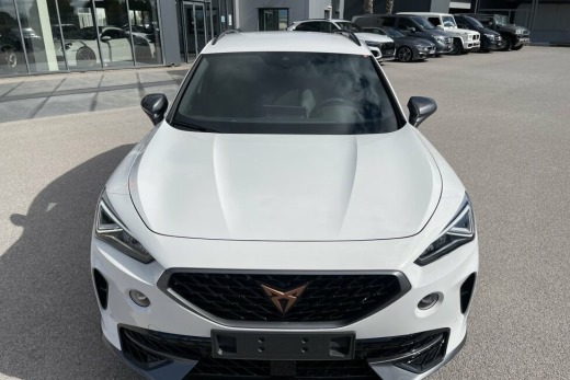 CUPRA FORMENTOR VZ 2.0 TSI DSG 4DRIVE 310