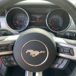 FORD MUSTANG FASTBACK V8 5.0L 421CH BVM6