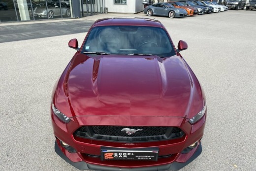FORD MUSTANG FASTBACK V8 5.0L 421CH BVM6