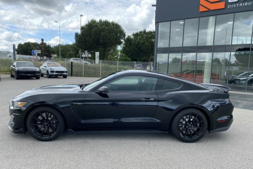 FORD MUSTANG 6 COUPE IV FASTBACK SHELBY GT 350