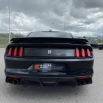 FORD MUSTANG 6 COUPE IV FASTBACK SHELBY GT 350