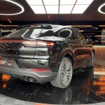 PORSCHE CAYENNE COUPE E-HYBRID 462 PLATINUM EDITION