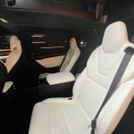 TESLA MODEL X 100D DUAL MOTOR LONG RANGE 6 PLACES