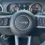 JEEP WRANGLER 2.0 380CH 4XE FIRST EDITION 4WD AUTO