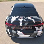 AUDI RS5 2.9 TFSI 450 TIPTRONIC 8 QUATTRO COVERING CAMO
